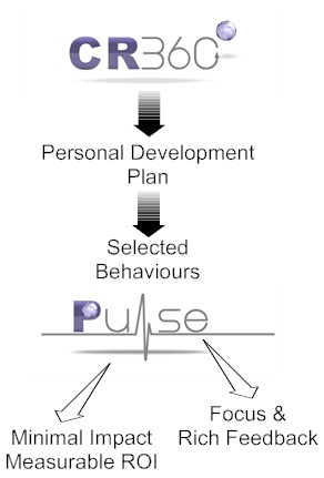 Pulse Diagram